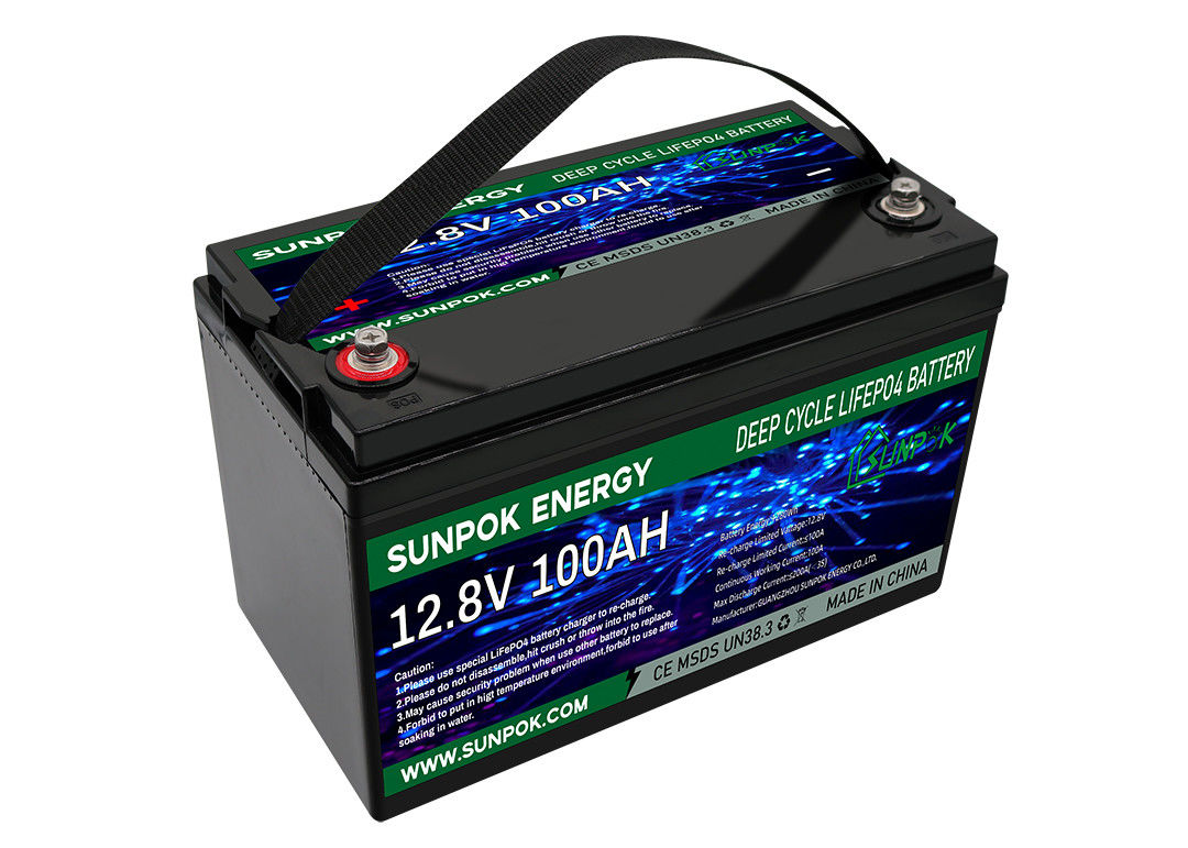 De lichtgewichtbatterij van het de Cycluslithium van LiFePo4 12V 100Ah Diepe voor rv met Bluetooth-Module
