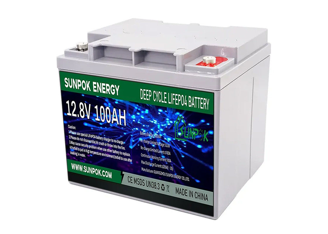 Van de de Cyclusbatterij 12v 24v 50ah 100ah 150ah 200ah LiFePO4 van AGM Diepe Diepe de Cyclusbatterij
