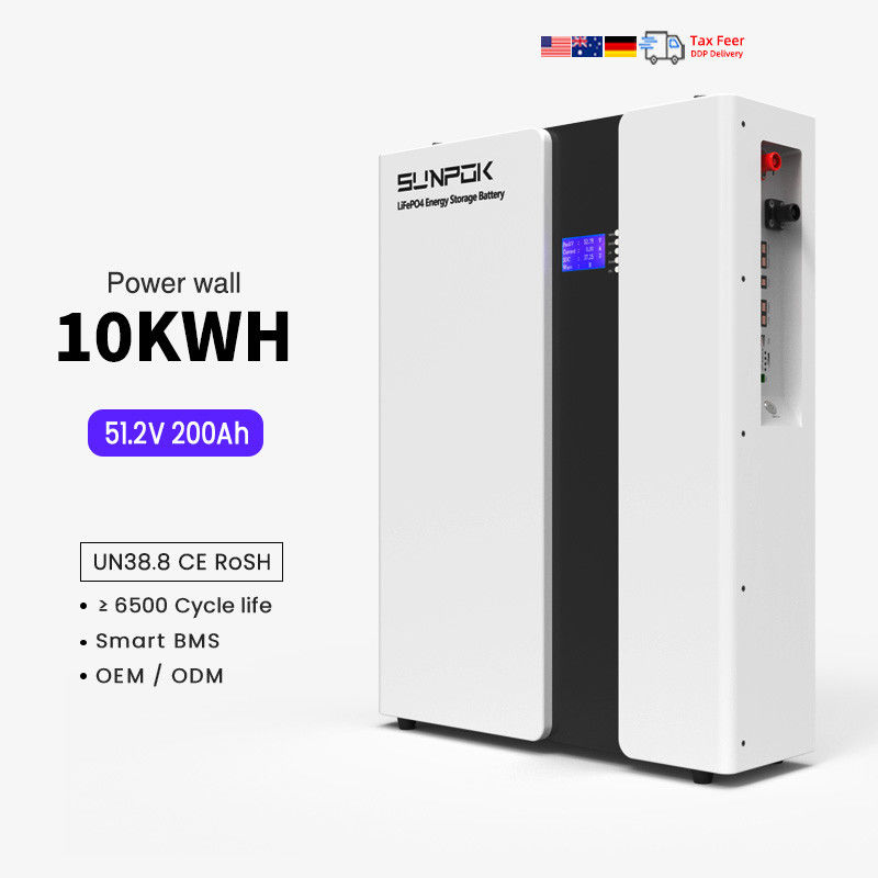 Home Power 48V 200Ah Lithium Ion Battery 10Kwh LiFePo4 Batterijen Smart BMS Solar System 51.2V 100Ah Energieopslagbatterij
